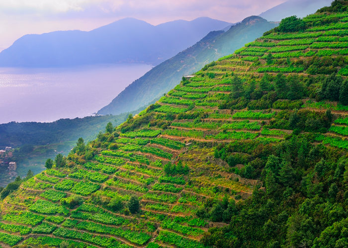 Cinque Terre i Italien med Expa Travel